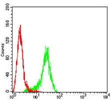 4 - Anti-Cytokeratin 15 Antibody AP95916