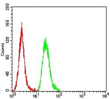 4 - Anti-Cytokeratin 18 Antibody AP95917