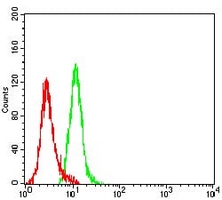 4 - Anti-Cytokeratin 19 Antibody AP95918