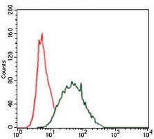 4 - Anti-Cytokeratin 5 Antibody AP95920