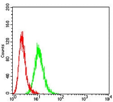 4 - Anti-Cytokeratin 6 Antibody AP95921