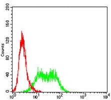 4 - Anti-Cytokeratin 9 Antibody AP95922