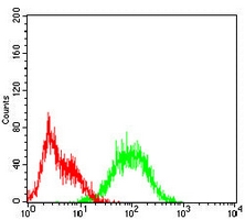 4 - Anti-CD107a Antibody AP95924
