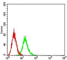 4 - Anti-CD107b Antibody AP95925