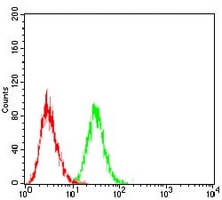 4 - Anti-LH Receptor Antibody AP95926