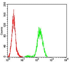 4 - Anti-Lamin B1 Antibody AP95928