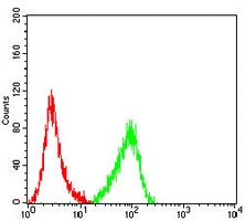 4 - Anti-LY6G6D Antibody AP95932