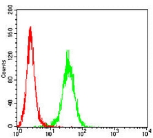 4 - Anti-M6PR Antibody AP95933