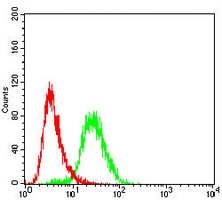 4 - Anti-MAGEA4 Antibody AP95934