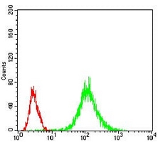 4 - Anti-MKK5 Antibody AP95935