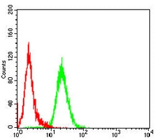 4 - Anti-HPK1 Antibody AP95936
