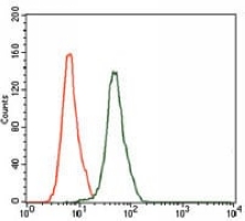 4 - Anti-JNK1 Antibody AP95937