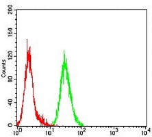4 - Anti-JNK2 Antibody AP95938