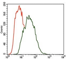 4 - Anti-MARK3 Antibody AP95939