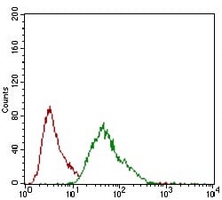 4 - Anti-CD146 Antibody AP95940