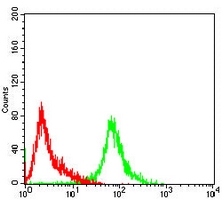 4 - Anti-MCM3 Antibody AP95941