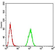 4 - Anti-MGMT Antibody AP95946