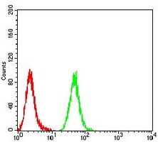 4 - Anti-MIB1 Antibody AP95947