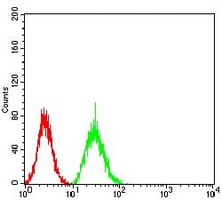 4 - Anti-MITF Antibody AP95948