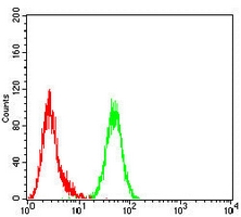 4 - Anti-MLH1 Antibody AP95949