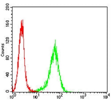 4 - Anti-CD10 Antibody AP95950