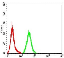 4 - Anti-MMP2 Antibody AP95951