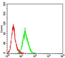 4 - Anti-MRE11 Antibody AP95952