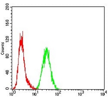 4 - Anti-MSH2 Antibody AP95954