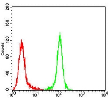 4 - Anti-MSH2 Antibody AP95955