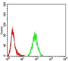 4 - Anti-MSH6 Antibody AP95956