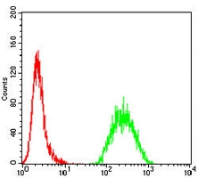 4 - Anti-MSH6 Antibody AP95957