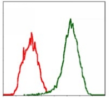 4 - Anti-Moesin Antibody AP95959