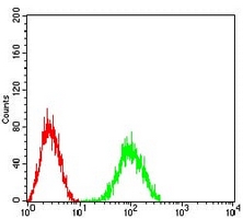 4 - Anti-CD204 Antibody AP95960