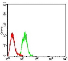 4 - Anti-MTA1 Antibody AP95962