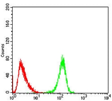 4 - Anti-Metadherin Antibody AP95963