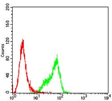 4 - Anti-MLCK1 Antibody AP95965