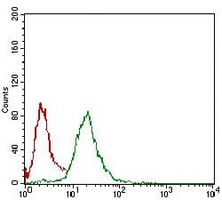 4 - Anti-Nibrin Antibody AP95967