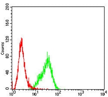 4 - Anti-CD56 Antibody AP95968