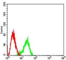4 - Anti-NDC80 Antibody AP95971
