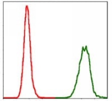 4 - Anti-NEDD8 Antibody AP95972