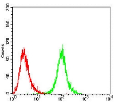4 - Anti-NEDD9 Antibody AP95973