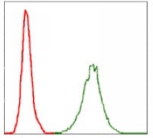 4 - Anti-NEFL Antibody AP95974