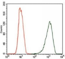 4 - Anti-iNOS Antibody AP95978