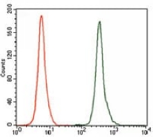 4 - Anti-NR6A1 Antibody AP95979