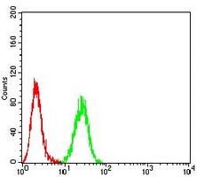 4 - Anti-Neuropilin 1 Antibody AP95980