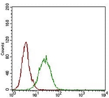 4 - Anti-CD73 Antibody AP95981