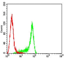 4 - Anti-NUP98 Antibody AP95982