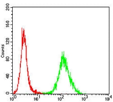 4 - Anti-OTUB2 Antibody AP95983
