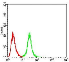 4 - Anti-OTUD4 Antibody AP95984