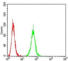 4 - Anti-P2RX7 Antibody AP95985